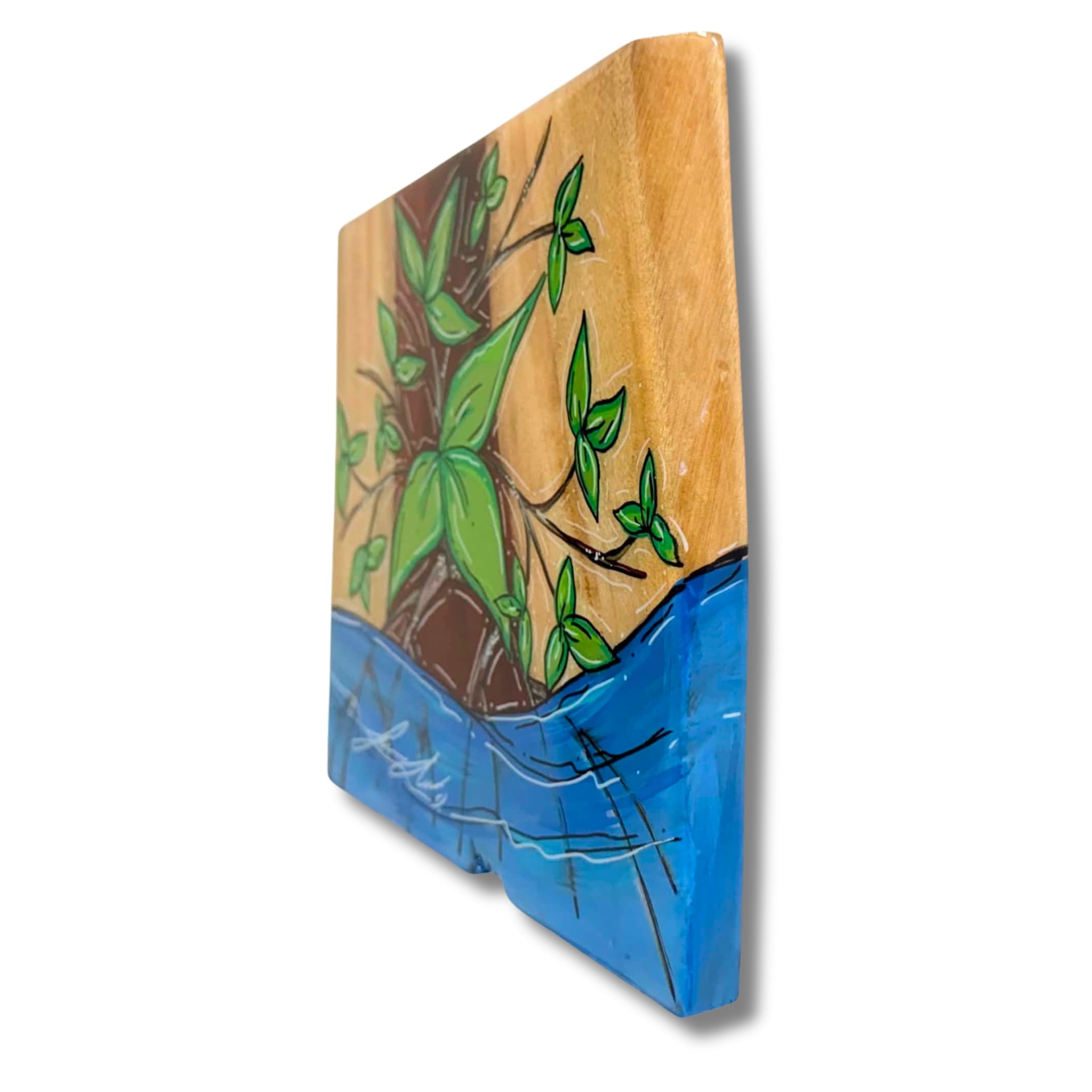 MANGROVES LIVE EDGE WOOD MINI MONDAYS