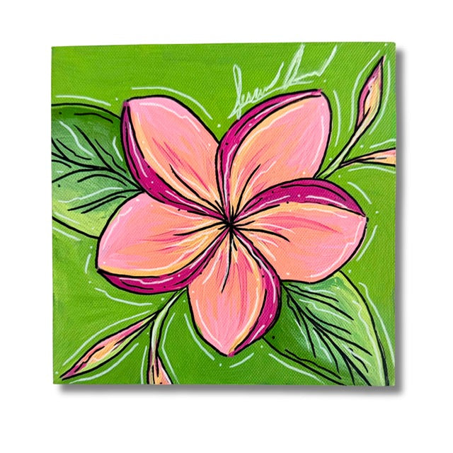 PLUMERIA MINI MONDAYS