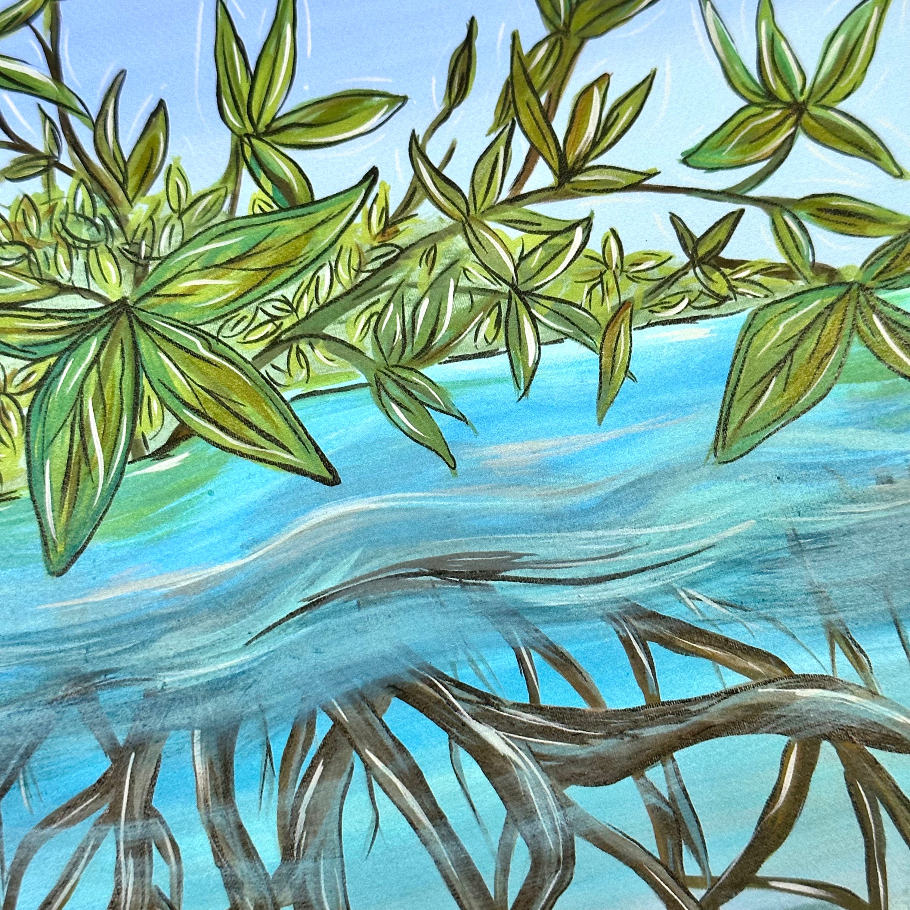 MANGROVES  8x10&quot; FLAT CANVAS PRINTS