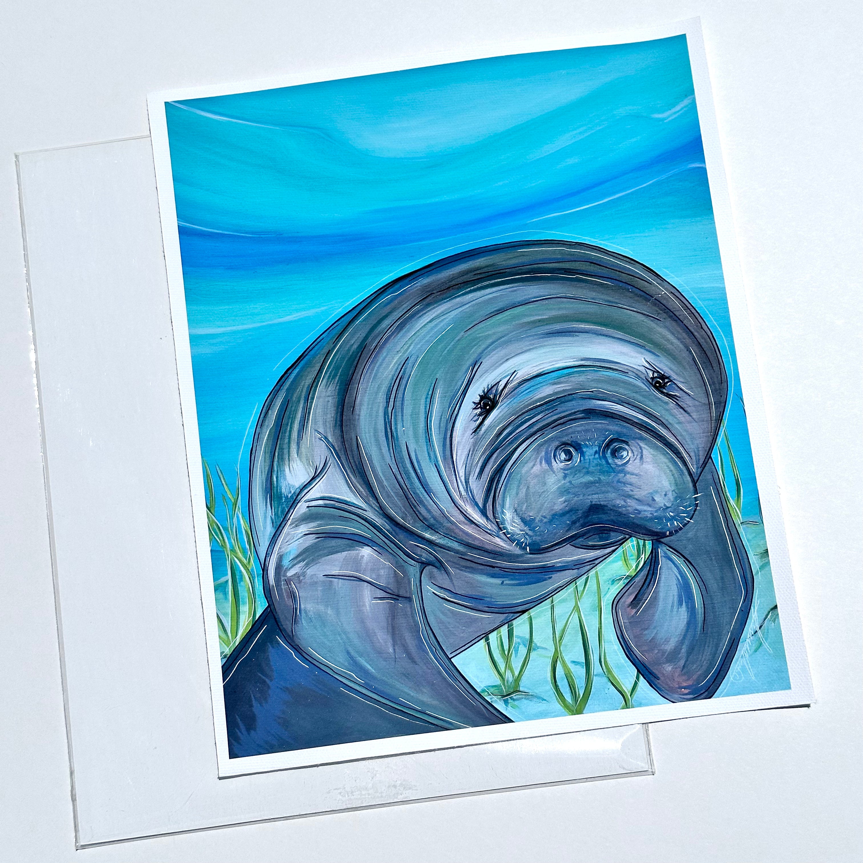 MANATEE 8x10&quot; FLAT CANVAS PRINTS