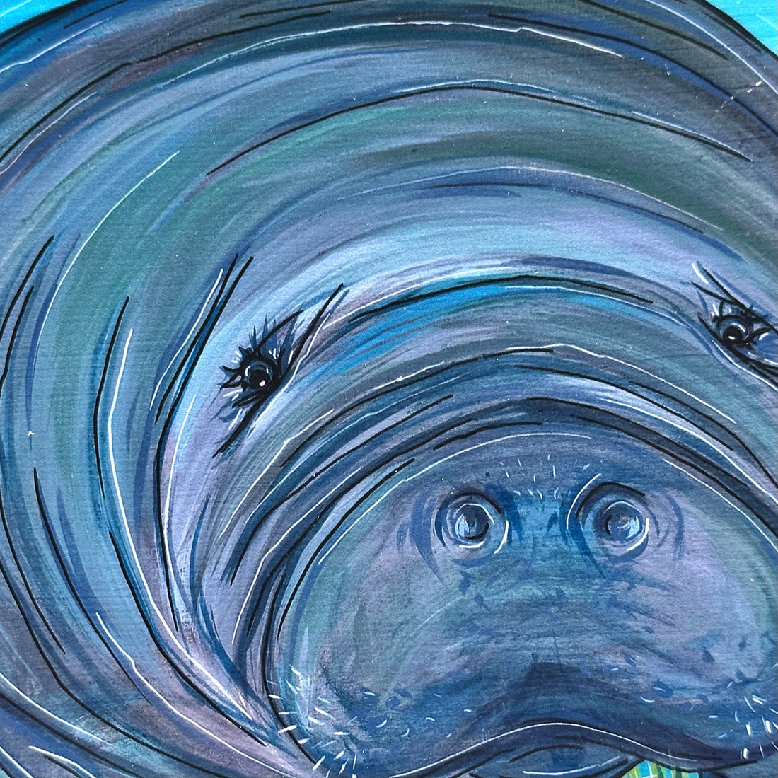 MANATEE 8x10&quot; FLAT CANVAS PRINTS