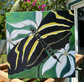 EVERGLADES BUTTERFLY CANVAS PRINT