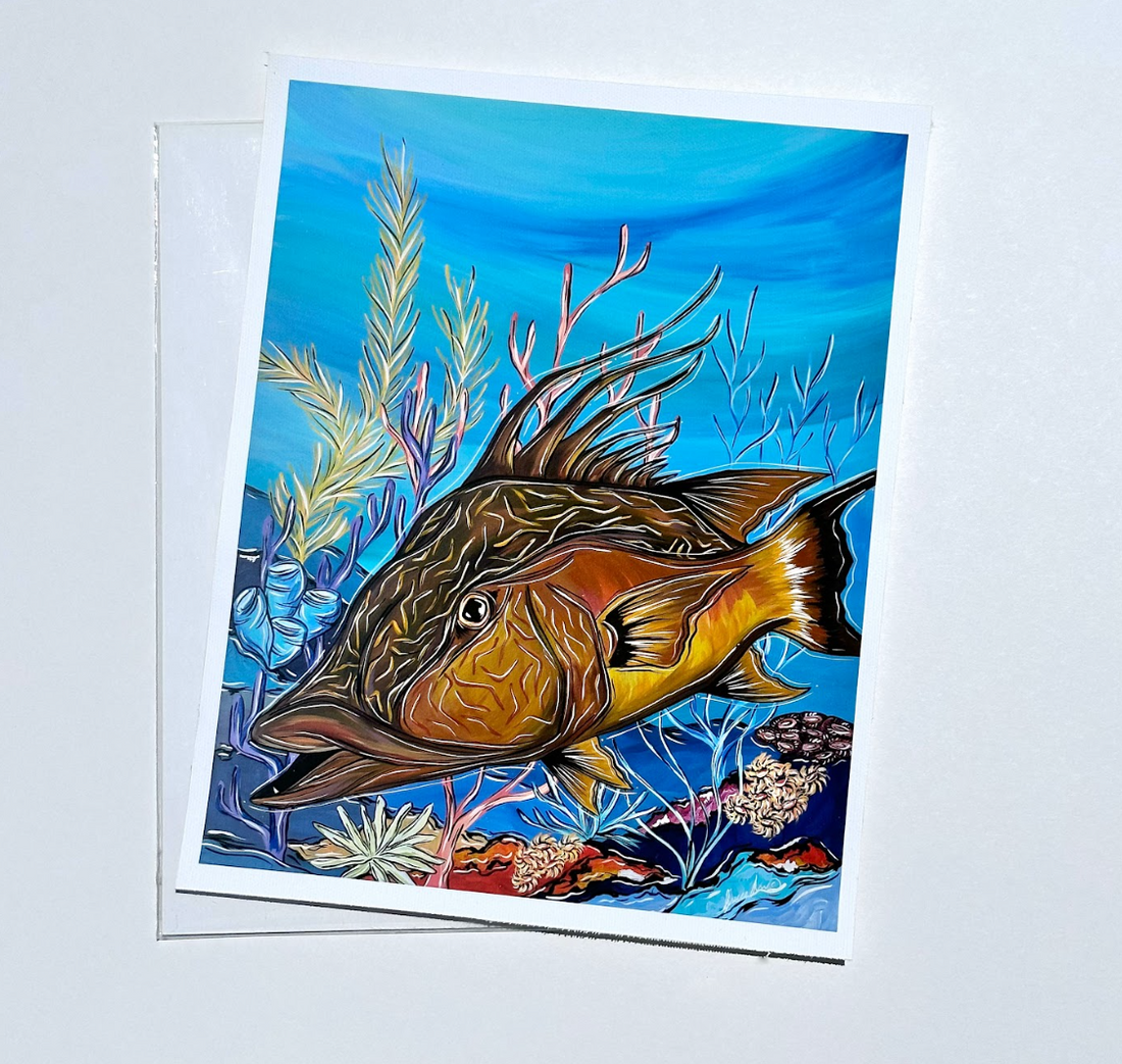 HOG IN THE REEF  8x10&quot; FLAT CANVAS PRINTS