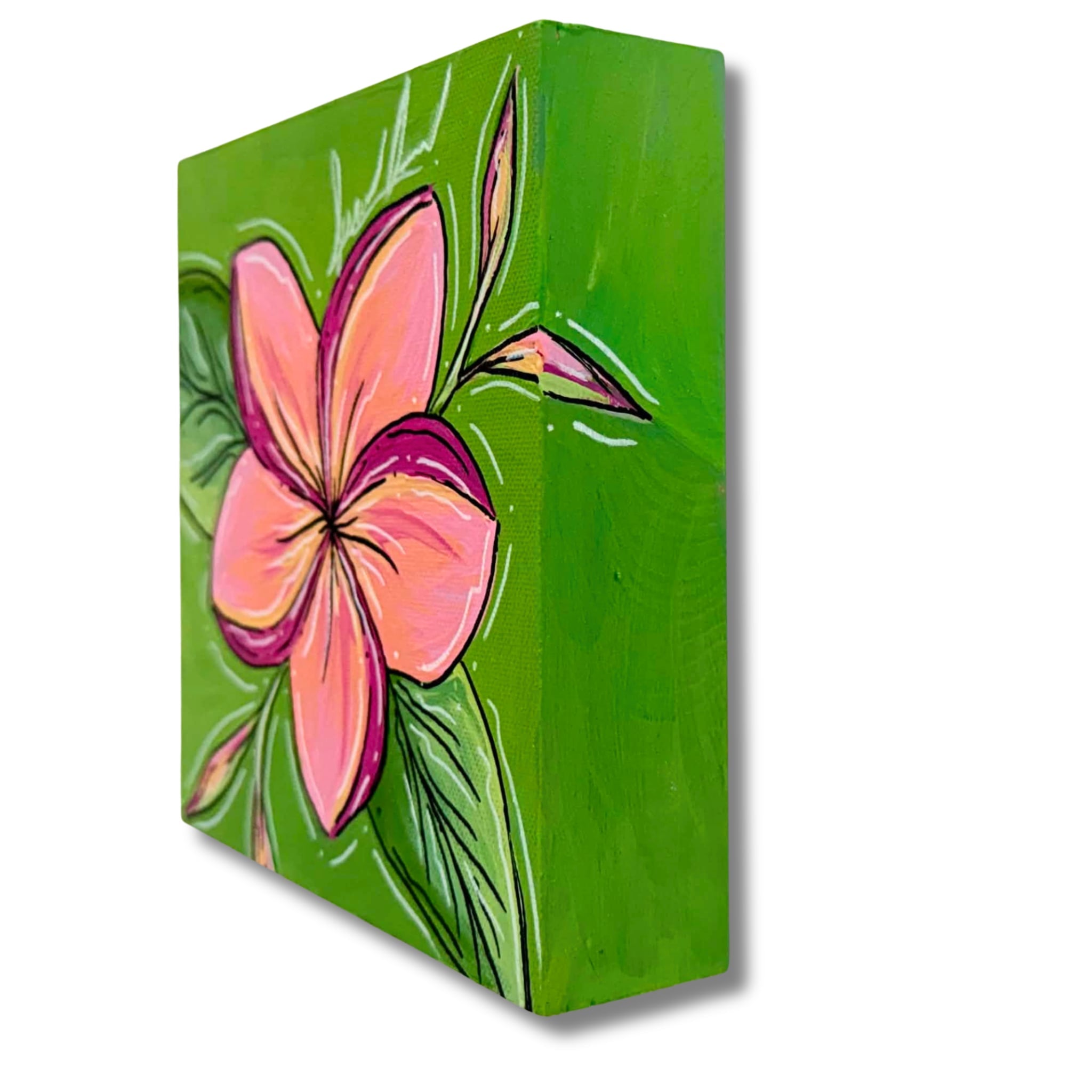 PLUMERIA MINI MONDAYS