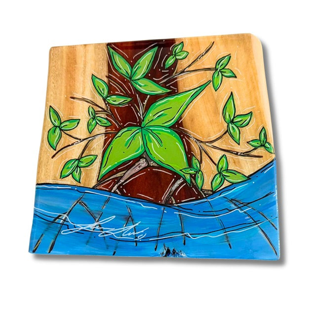MANGROVES LIVE EDGE WOOD MINI MONDAYS