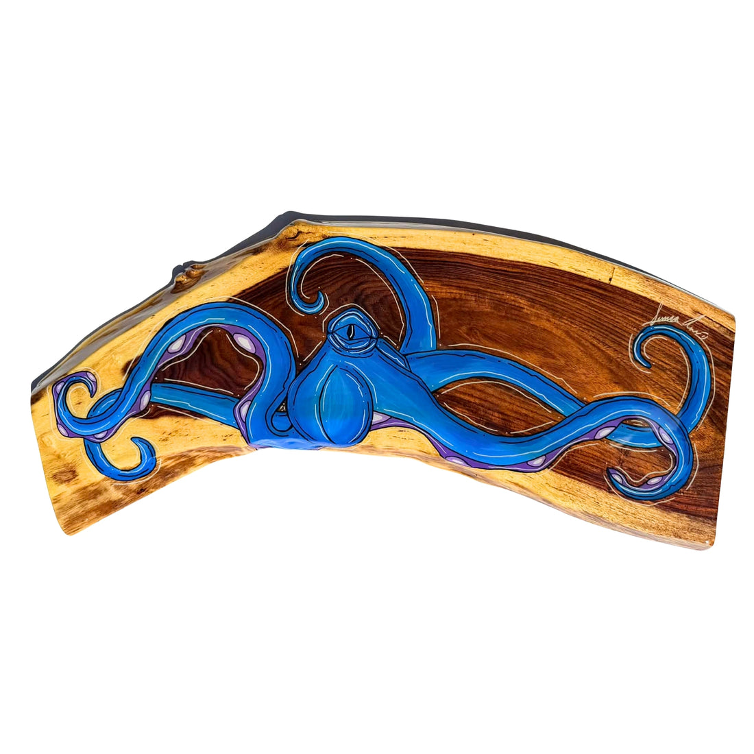 BLUE HORIZONTAL OCTO - LIVE EDGE WOOD 9.5" X 27"