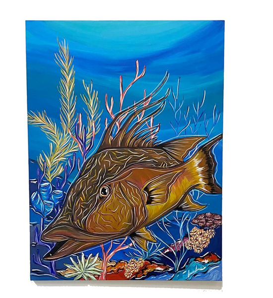 Hogfish In The Reef